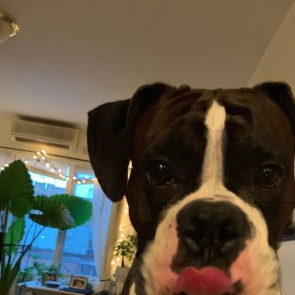 Meet your Posher, Larysa - Picture 1 of 1